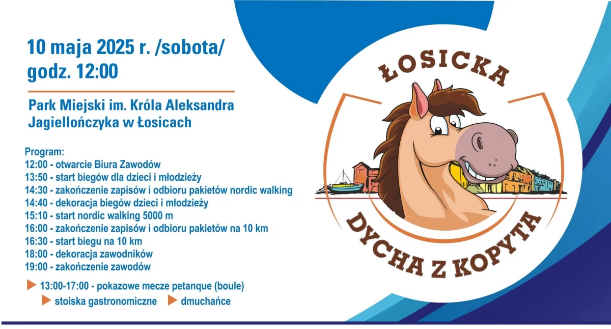 Biegi, Łosice pobiegną kopyta! wielki biegowy dzień - zdjęcie, fotografia