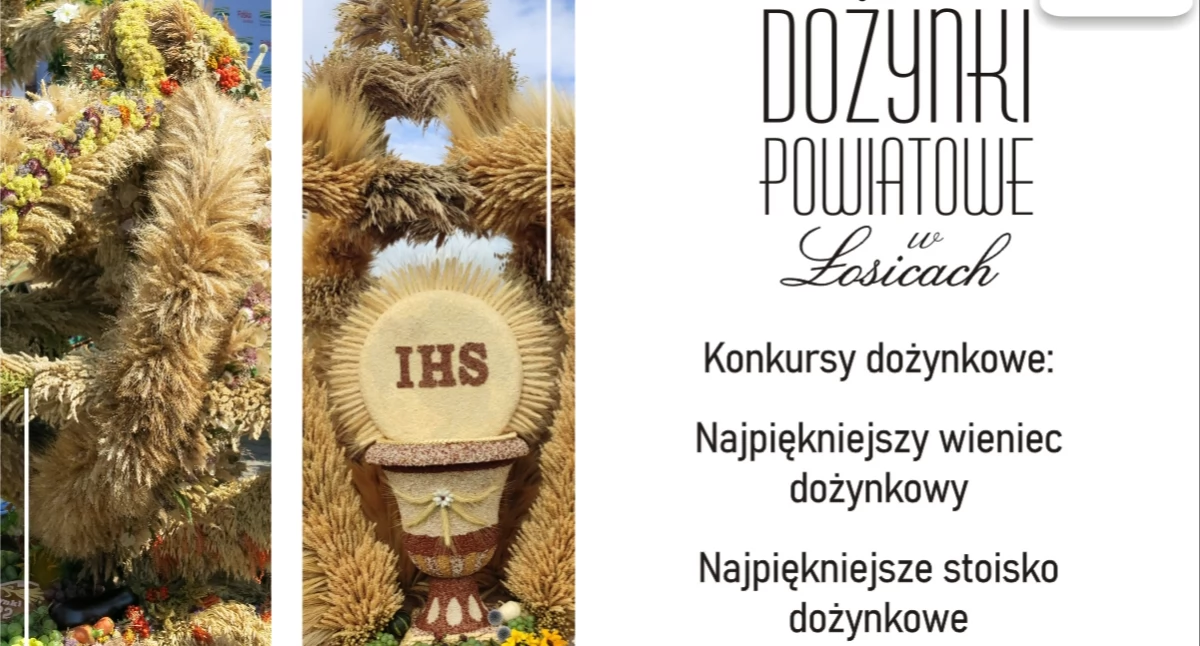 Imprezy cykliczne, Zgłoś stoisko upleć wieniec wspólnie stwórzmy Dożynki - zdjęcie, fotografia