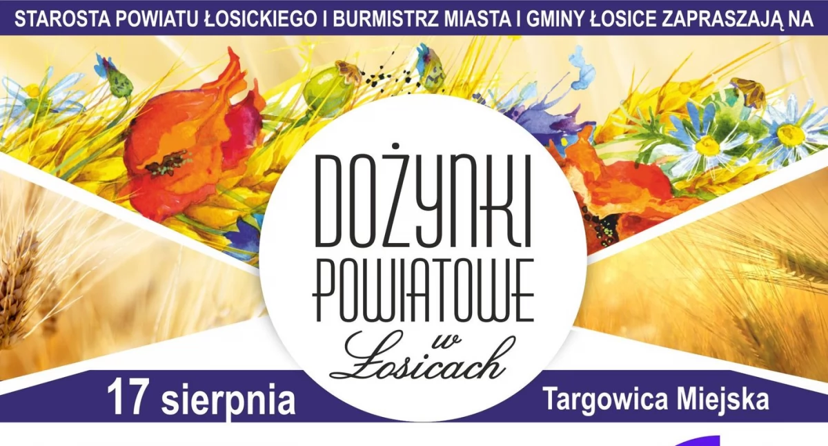 Imprezy cykliczne, Dożynki Powiatowe Łosicach zobacz programie - zdjęcie, fotografia