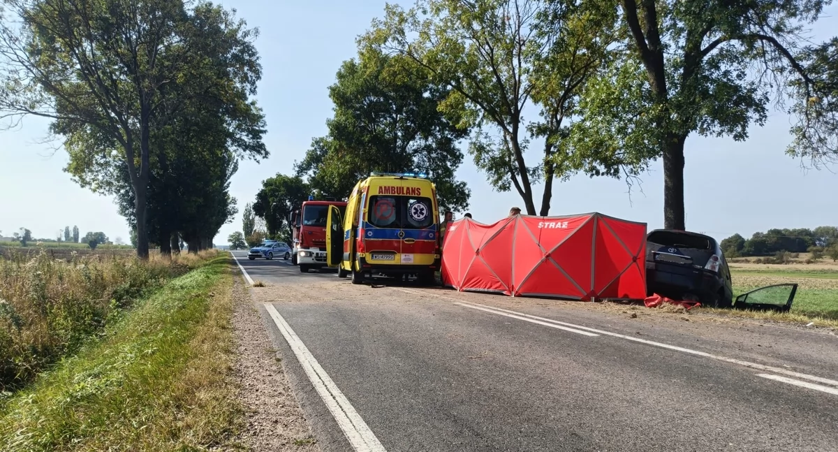 Kronika kryminalna, Tragiczny wypadek Ostromęczynie Policja apeluje rozwagę kierownicą - zdjęcie, fotografia