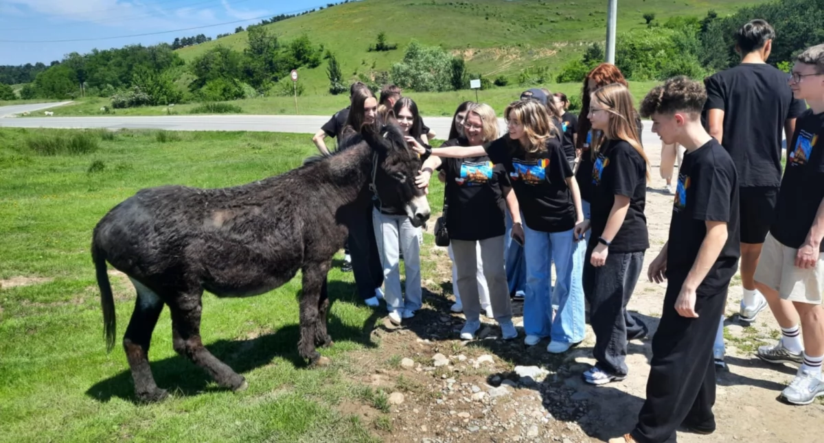Edukacja - Szkoły, łączy Drakulę szkołę wieku Uczniowie Erasmus+ Rumunii - zdjęcie, fotografia