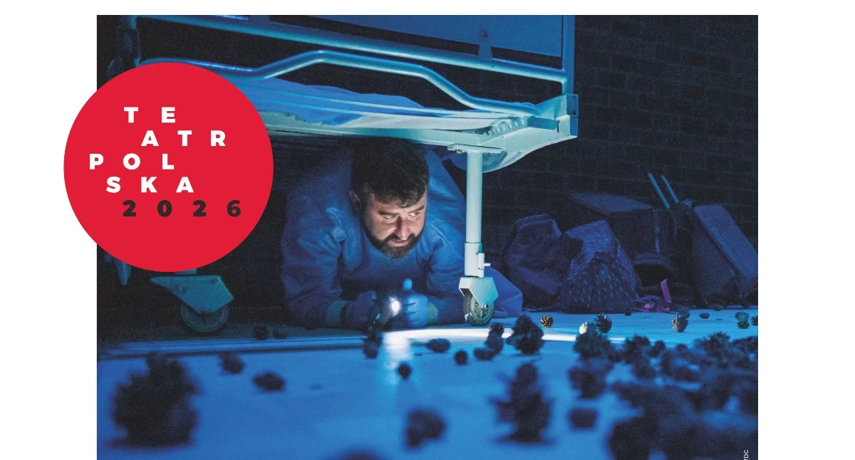 Teatr - Scena, Teatr Polska Łosicach „Mały doktor wrócił” scenie - zdjęcie, fotografia