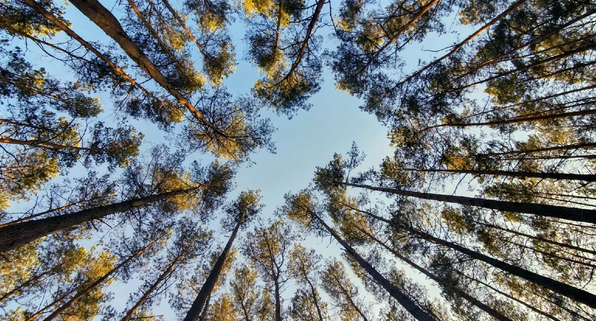 Edukacja - Szkoły, Trzeci quest Bugiem sobotę otwarcie „Klimatycznej wyprawy” Wólce Nadbużnej - zdjęcie, fotografia