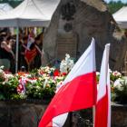 zdjęcie nr 99