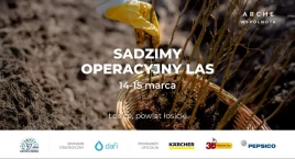 Międzynarodowy Dzień Działań na rzecz Rzek: Czas na ekologiczną mobilizację!