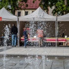 zdjęcie nr 102