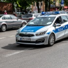 zdjęcie nr 13