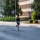 zdjęcie nr 172