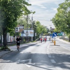 zdjęcie nr 207