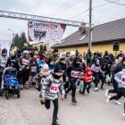 zdjęcie nr 43