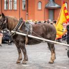 zdjęcie nr 112