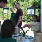 zdjęcie nr 39