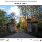 zdjęcie nr 19