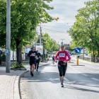 zdjęcie nr 243