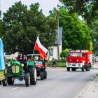 zdjęcie nr 190