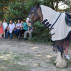 zdjęcie nr 108