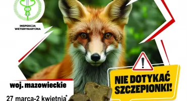 Wiosenna akcja szczepienia lisów na terenie województwa mazowieckiego