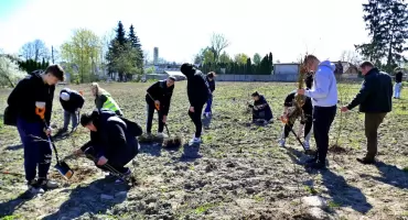 Łosice mają swój „Bukowy Las”. Wspólnie posadzono 500 młodych drzew